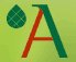 Augsburg Logo