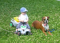 Lorenz und Zanel
